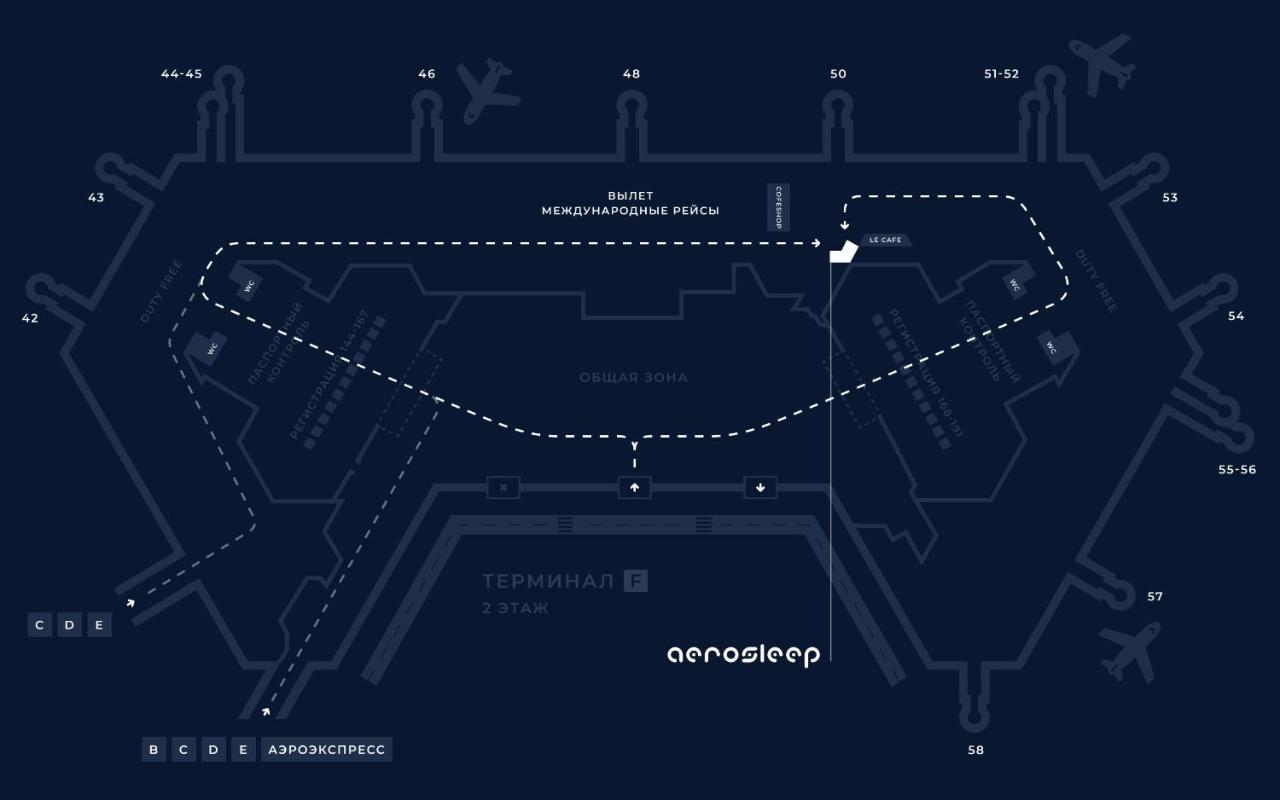 Готель Aerosleep Шереметьево Терминал F Международная Транзитная Зона Хімки Екстер'єр фото